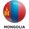 Global presence partner logo